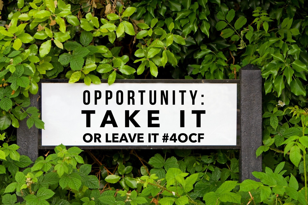 Opportunity: Take It or Leave It