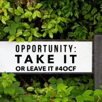 Opportunity: Take It or Leave It