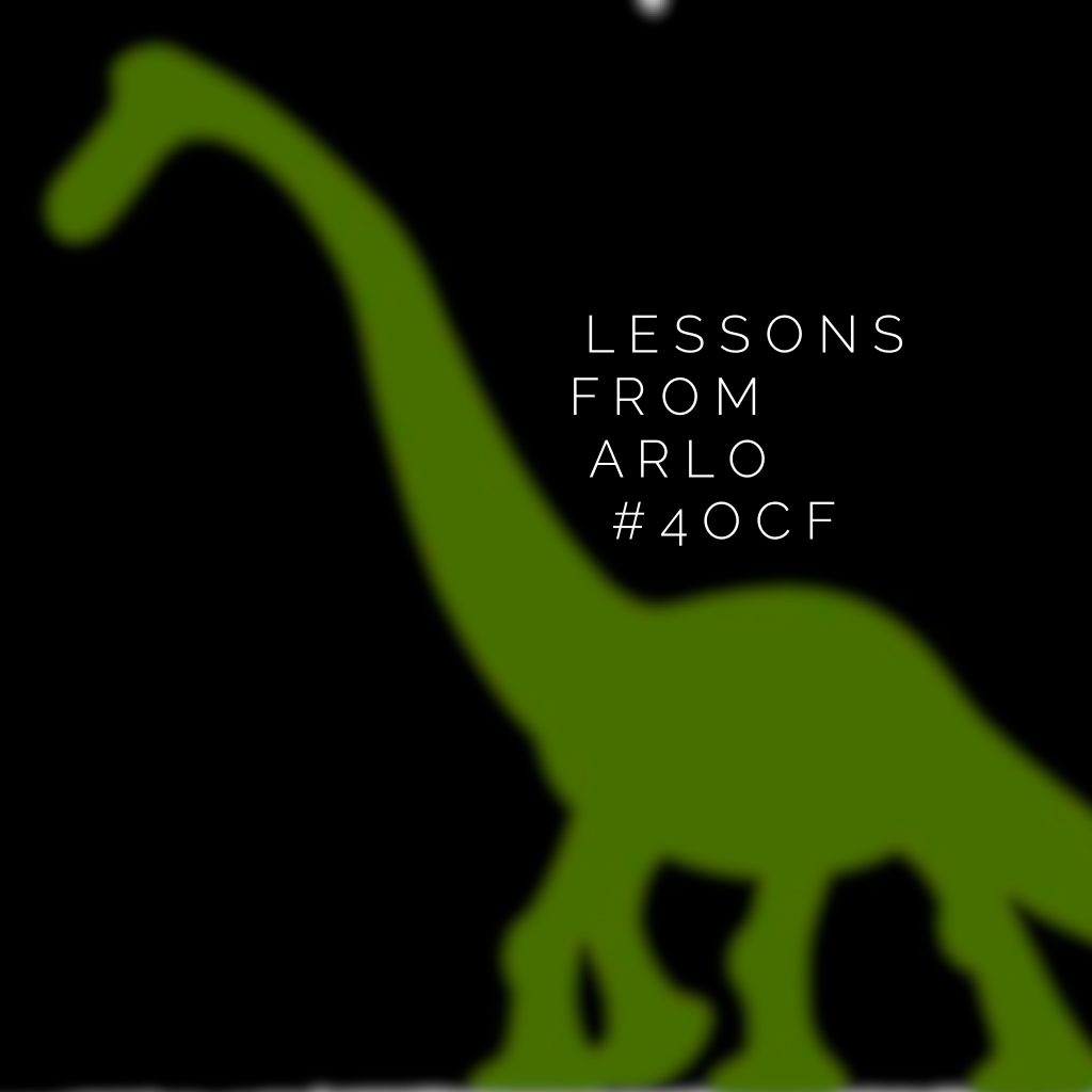 Lessons from Arlo