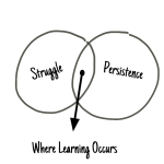 Struggle & Persistence