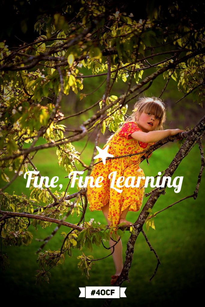 Fine, Fine Learning