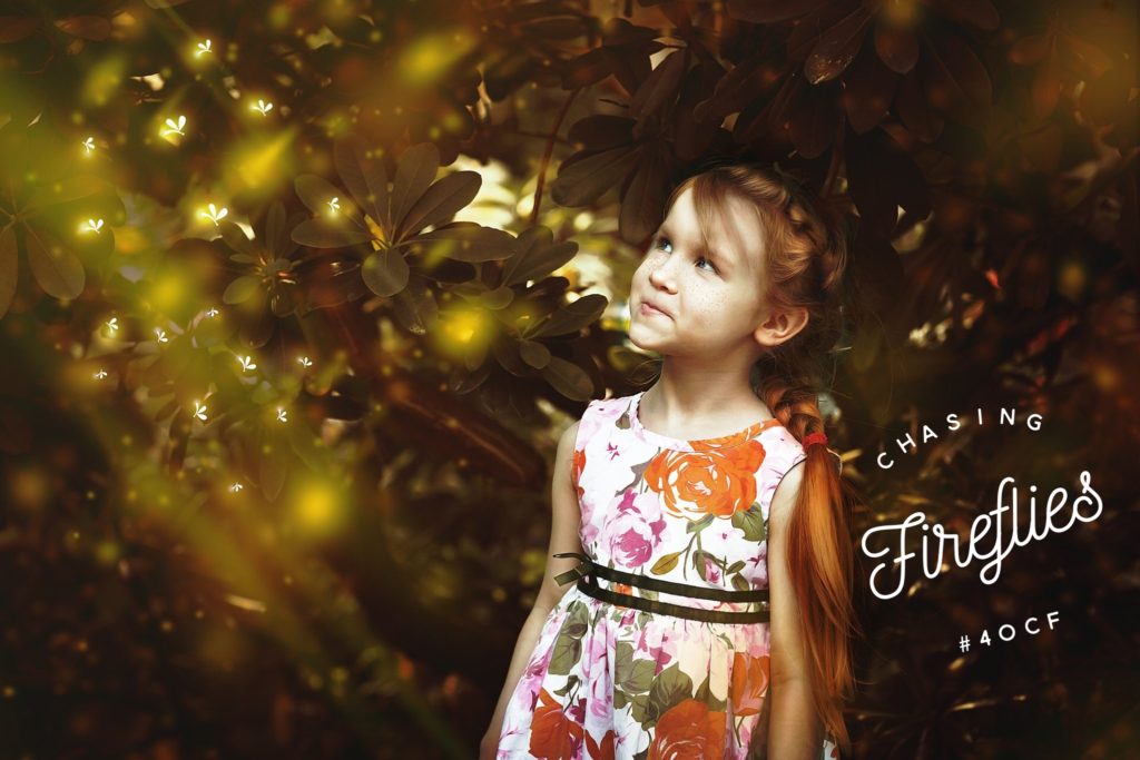 Chasing Fireflies