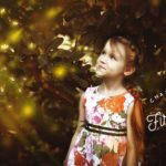 Chasing Fireflies