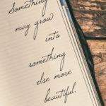 Something Else More Beautiful