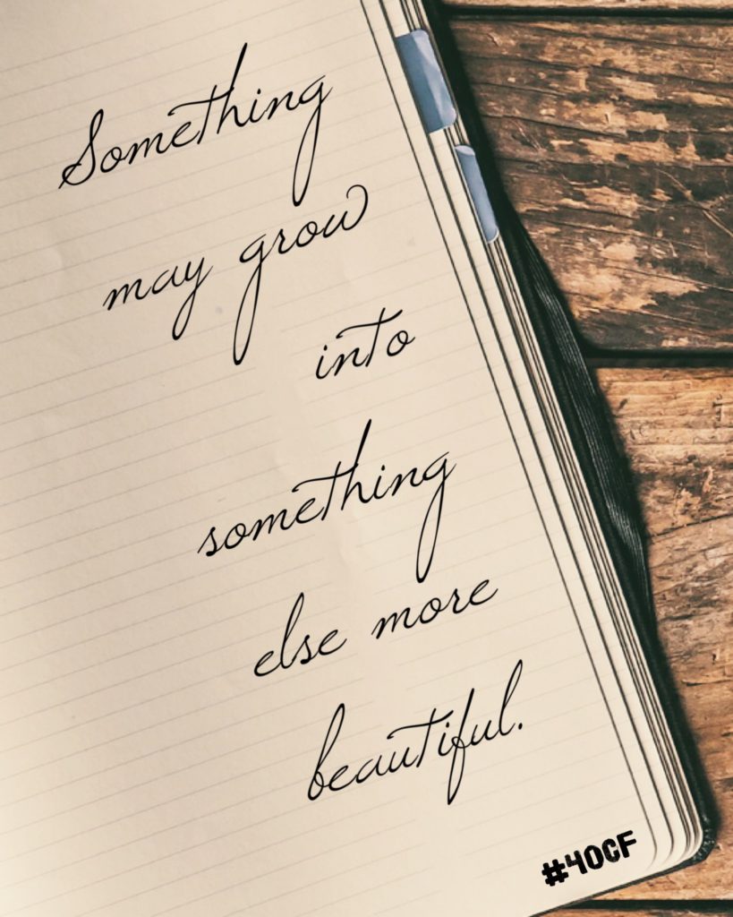 Something Else More Beautiful