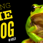 Eating the Frog