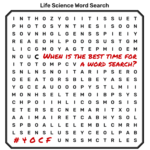 The Best Time for Word Searches?