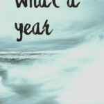 What a Year