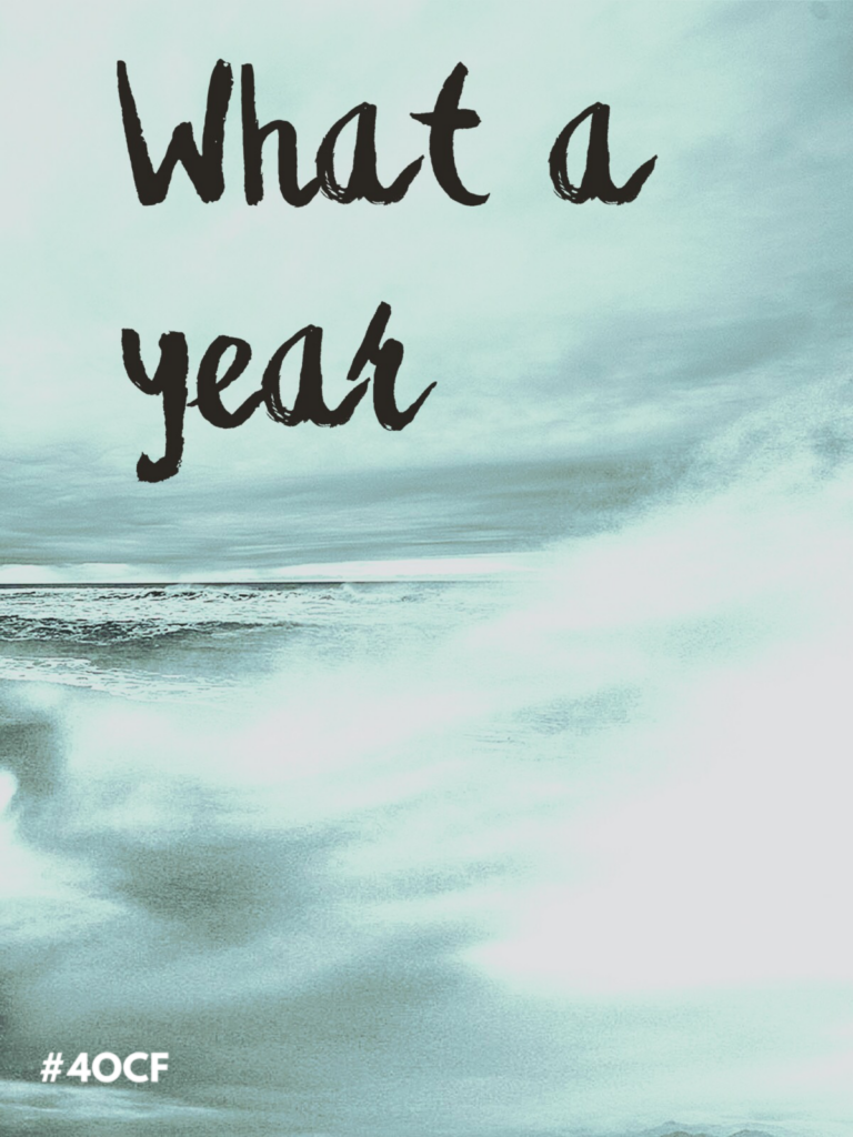 What a Year
