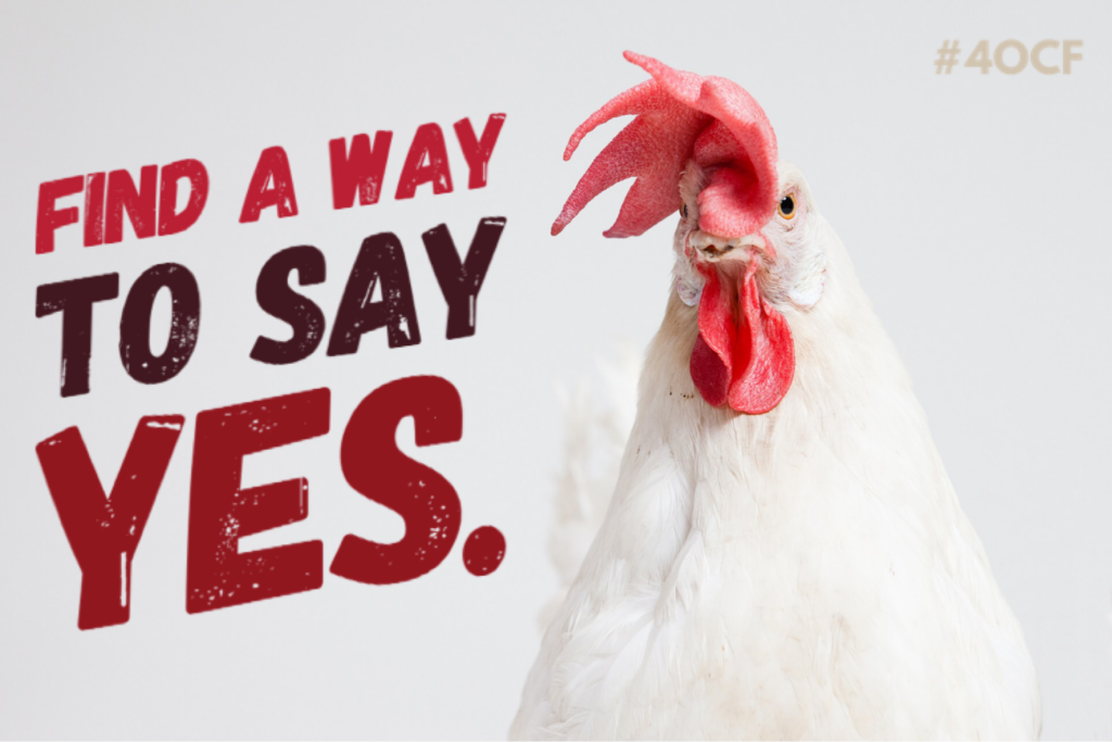 Bring Your Chicken to Class