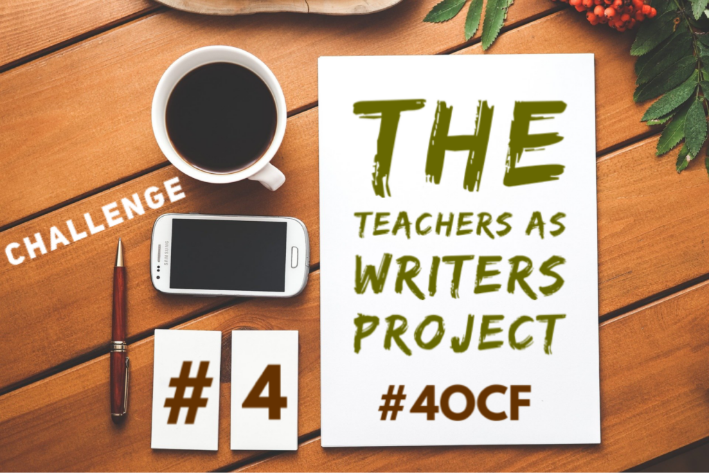 Teachers as Writers Project #4