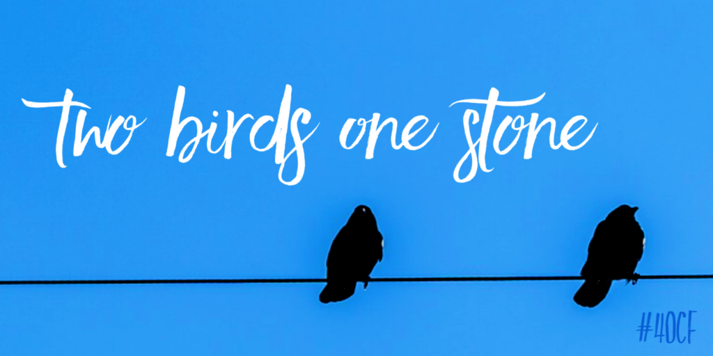 Two Birds, One Stone