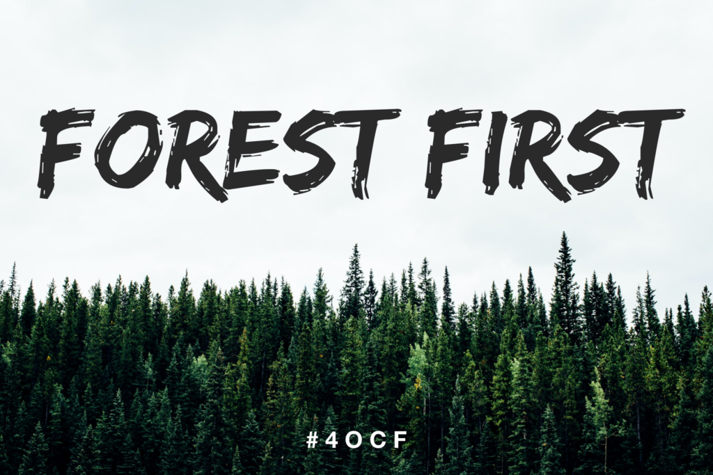 Forest First
